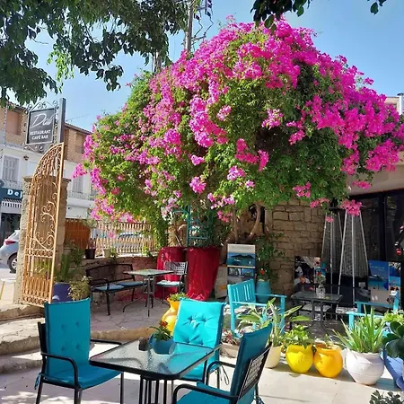 Amina * Zakynthos Town