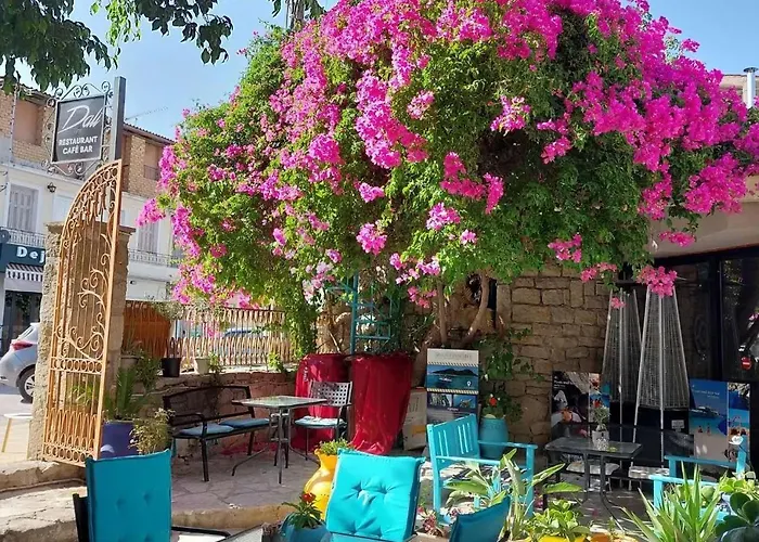 Amina * 扎金索斯镇