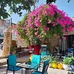 Amina * Zante